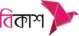 bKash logo